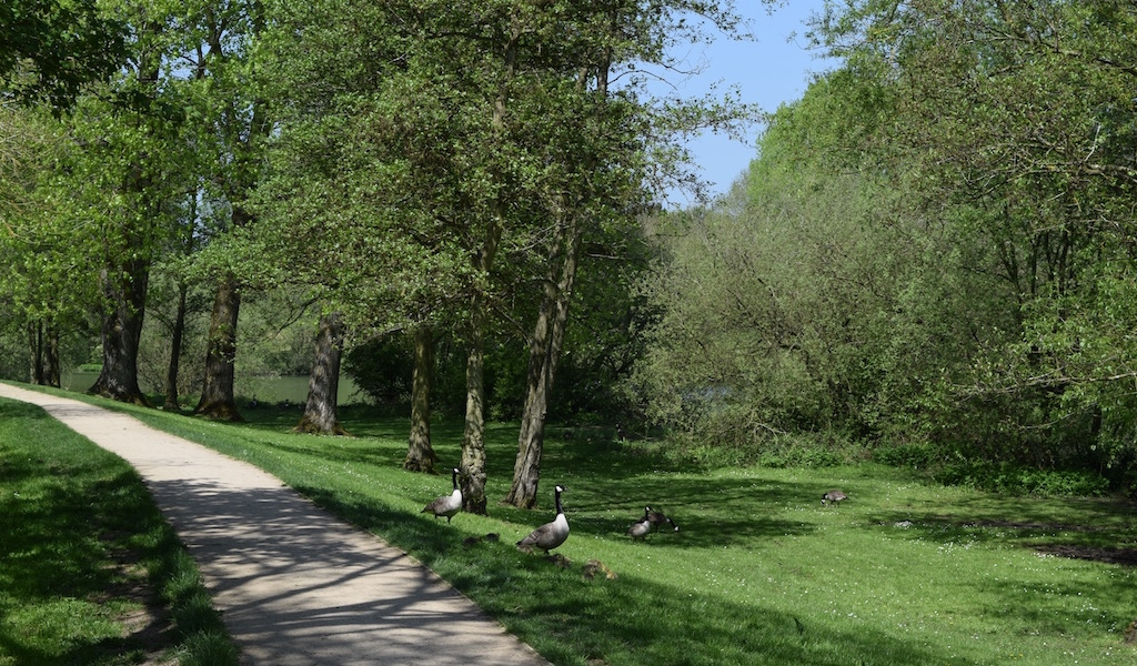 original Path 1526034930 - Brackley